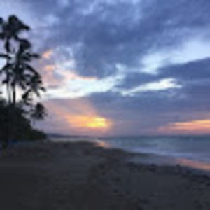 Meet your Posher, Charli